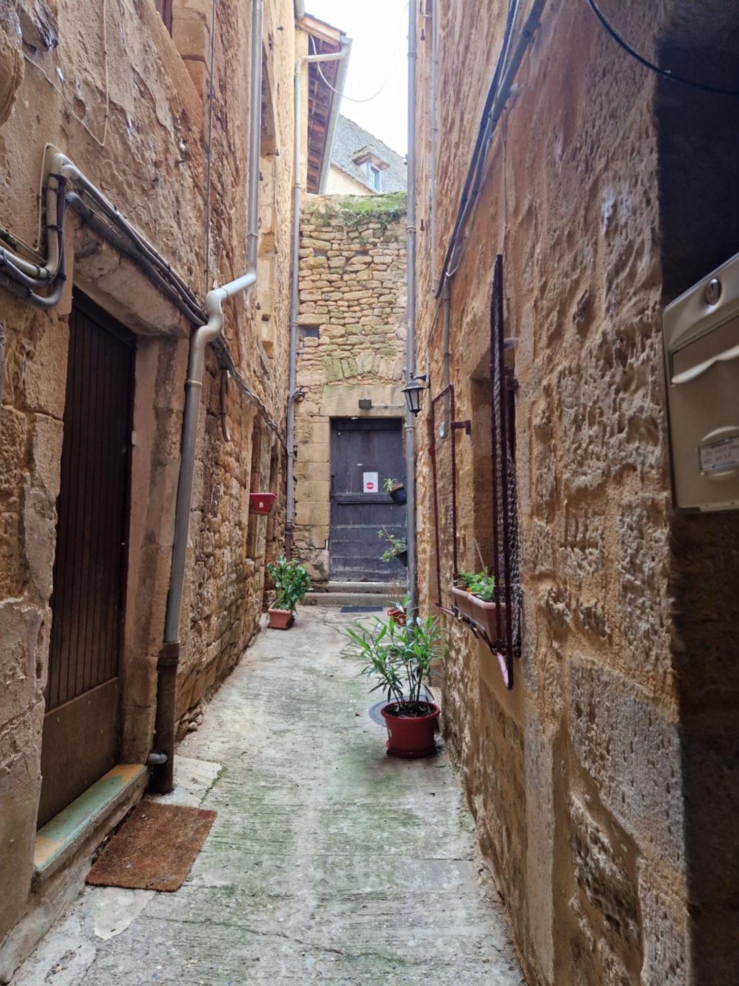 Les Flamboyants Apartment Sarlat-la-Canéda Exterior foto